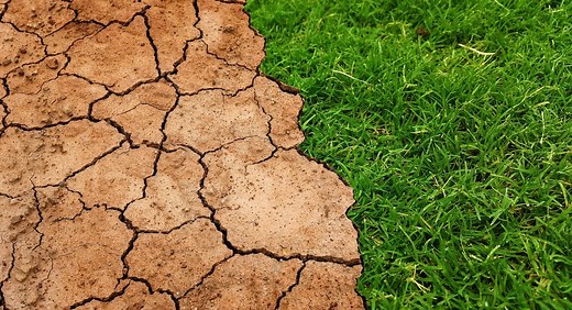 Cómo nos afecta el cambio climático - Las consecuencias