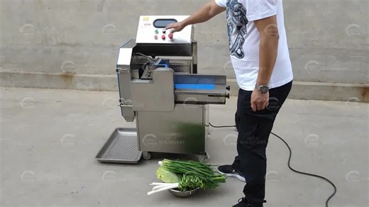 Automatic Leafy Vegetable Shredding Machine Slicing Shredding Chopping Machine for Lettuce