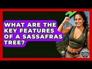 What Are The Key Features Of A Sassafras Tree? - The Hiker's Advice