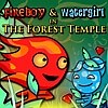 Fireboy and Watergirl Game Online | 🕹️ Play Now!