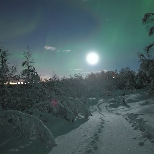 Moon Corona, aurora and -20 celsius 😲🤪 | Aurora Borealis Observatory
