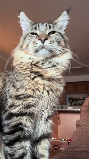 Apollo giving kisses