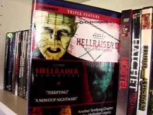My Echo Bridge DVD Collection