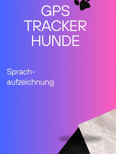 Ein GPS Tracker für Hunde und Katzen ermöglicht es Tierbesitzern, ihre Hunde und Katzen jederzeit live zu orten, bietet maximale Sicherheit und hilft, entlaufene Tiere schnell wiederzufinden Bestellen: https://stungitrade.com/products/gps-hundetracker #hundebesitzer #katzenbesitzer #tierbedarf #onlineshop #musthave #gpstracker #hundetracker #katzentracker #gpshalsband #tiertracker #haustiersicherheit #hundesicherheit #katzensicherheit #haustierliebe #fyp #foryou #foryoupage #viral #tiktokdeutsch