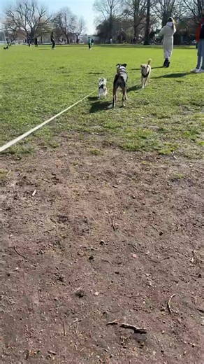 Upgrade your DNA 🧬 (@upgradeyoudna)’s videos with Originalton - Upgrade your DNA 🧬