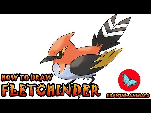 How To Draw Fletchinder Pokemon | Drawing Animals
