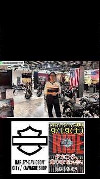 Showroom Inventory Tour! #HarleyDavidson #harleydavidson [Harley-Davidson City Kawagoe Store]