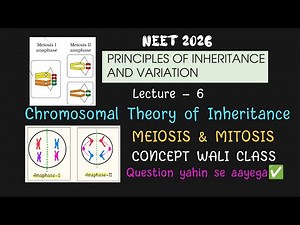 Chromosomal Theory of Inheritance| Meiosis and Mitosis|Genetics for NEET| NCERT CLASS 12 BIOLOGY