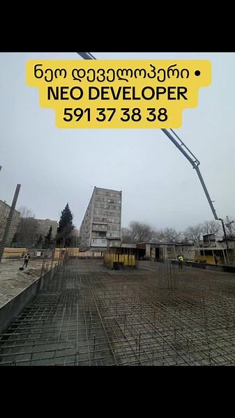 ნეოდეველოპერის პროფესიონალური სერვისები