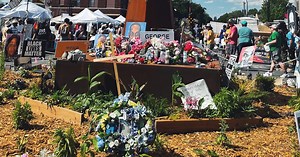 Combating Gun Violence