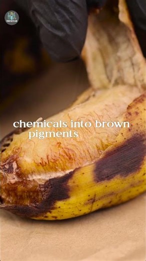 Why Bananas Turn Brown So Fast?