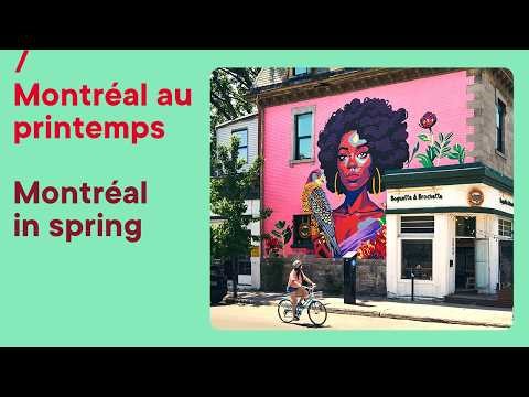 Vivez l'effervescence d'un printemps montréalais! 🌷// Feel the effervescence of a Montréal spring!🌷