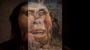 Australopiteco - Caratteristiche fisiche, alimentazione, informazioni sulla sua vita