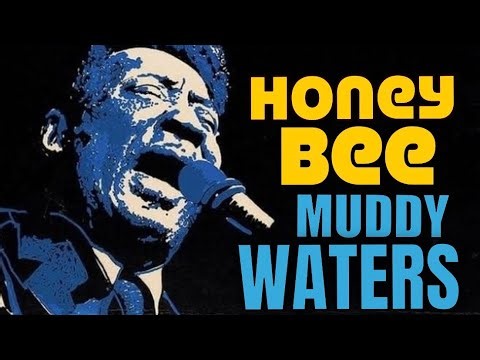 Muddy Waters/ Honey Bee blues live Chicago style blues 