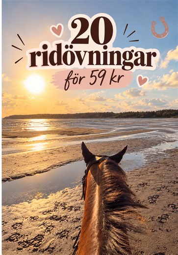 Inspiration i appen – tips för rytterplan och hästlivet