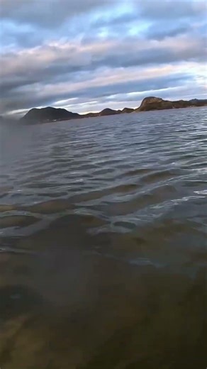 Sea Trout Adventures #fluefiske #flyfishing #skittfiske #troutfishing #fishingtrip #seatroutfishing