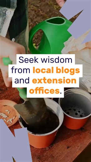 Spring planting season is here! Whether you're a gardening newbie or a seasoned green thumb, dig in with these tips from Wisconsin Region Director of Community Health (and self-taught gardener), Megan Timm, to elevate your gardening game! #SpringPlanting #GardeningGoals https://bit.ly/3vWmUBx | SSM Health Illinois | Facebook