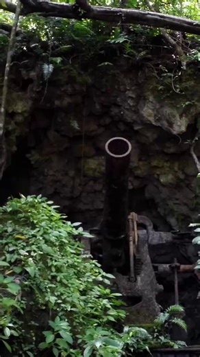 3.2K views · 137 reactions | How did Project Recover begin? With one...