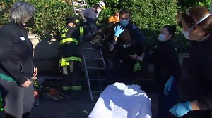 64K views · 3.2K reactions | ❤梁 See the moment Sammy the black lab was reunited with her owner, six days after their house collapsed in a landslide. The couple thought they had lost both of their dogs but had been driving by to check at the house and heard Sammy inside on Thursday. That's when Seattle Fire crews jumped into action. See more video of Sammy's rescue and read the story: https://bit.ly/31V1NQS | KING 5 | Facebook