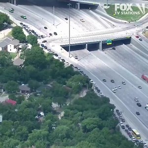 Going to Dollar Day at the Dallas Zoo today? You’re not alone. 👀 (🎥: @fox4news / IG) | 99.5 The Wolf