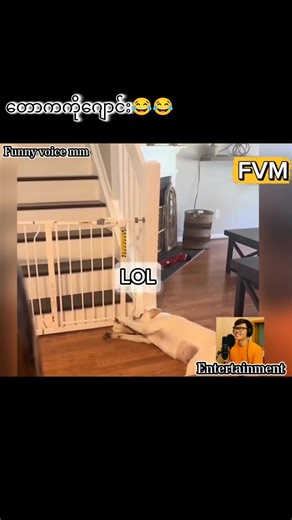 စိတ်ချပါသခင်😄 #funny #comedyvideo #voiceover #animals #viral