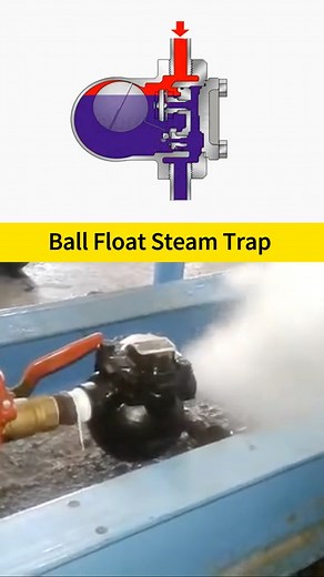 The working principle of a ball-float steam trap, is it really installed correctly? #Valves #MechanicalEquipment #Industry #LearnSomethingNew | Valve Prc