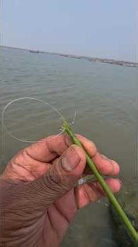 How to Catch Easy Crab | #fishing
