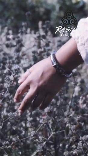 8.3K views · 327 reactions | Rasmee Isan Soul - ความงามของความเหงา...