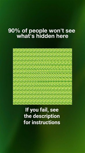 Only 10% See This Hidden Image!