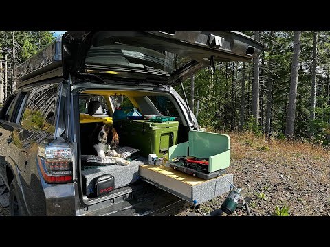 DIY Toyota 4Runner Pull-out Kitchen Bed Platform - Building an Overland Rig
