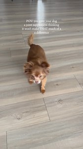 Is your dog struggling to get up, eat, or go outside? 🐕 Joint problems can literally leave them laying down all day, slowly stealing their joy. Wuffes Hip & Joint Support gives dogs their spark back! Their vet-backed formula with clinically-proven ingredients helps them walk, play, and thrive again. 🎁 Limited time: New customers get an exclusive discount free gift! Don't wait! ❤️ | Wuffes