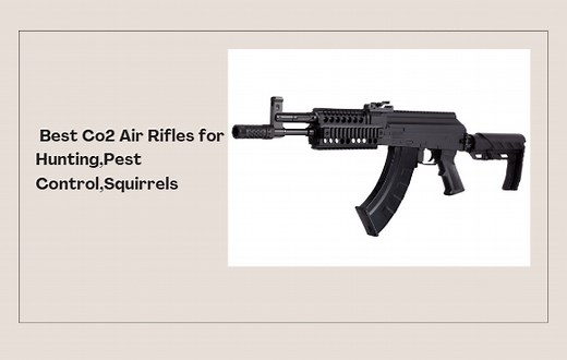 10 Best Co2 Air Rifles for Hunting,Pest Control,Squirrels - Outdoor Moran
