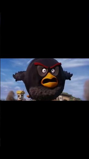 Bomb’s on his way #cement #memes #funny #pvz #angrybirdsmovie