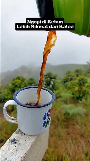 Is Coffee in the Garden Better Than a Cafe? ☕🌿 Real Coffee Experience