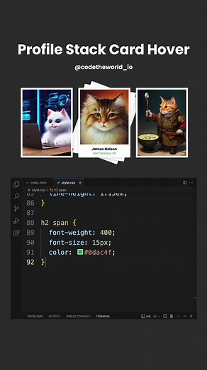 Programmer Profile Card Hover Effects | CSS Tricks for Web Development