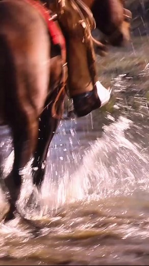 Exploring the Wyoming Wilderness: A Cowboy's Life at Diamond Cross Ranch