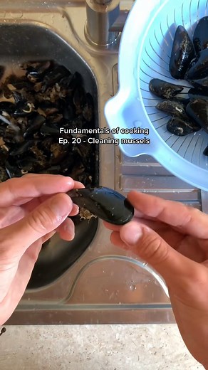 FoC Ep. 20 - Cleaning mussels. I’ve effectively been cooking for 6 to 10 people for a while now so it’s hard to film when making such big portions. I was making mussels and I thought I’d share the process of cleaning them. I don’t recommend cleaning 4 kilos at once though #fyp #learnontiktok #mussels #cooking #reels #cookingtips #kitchenhacks | Mattia's Table