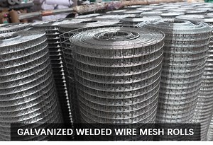 [Hot Item] Welded Mesh 1/2 Inch Square Hardware Cloth Wire Mesh