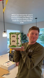The perfect cake for our tortoise kings birthday. Made by the perfect BLONDE || CUSTOM CAKES #happybirthday #ballons #tortoise #cake #sulcatatortoise #sulcatasoftiktok #27 #ethan | Kimberly OConnell