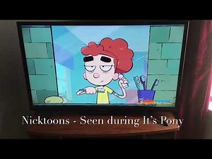 All 3 Thanksgiving Screen Bugs (2020)