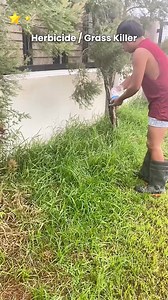 💥 Switch to Cyclosinone Granules the no-spray, no-stress solution 😍 ✅ Precise Granular Application ✅ Extended Residual Protection ✅ Soil-Safe & Eco-Friendly ✅ Long-lasting residual control ✅ Rainfast within hours 🛒 Ek hi baar chhidko, hafton tak aaram pao 😍 | Pro Track