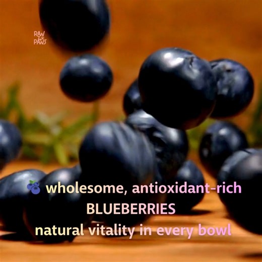 Known as little nutritional powerhouses, blueberries in our single protein raw dog food varieties bring natural antioxidants, vitamins, and fiber to your dog’s diet—helping to boost immunity and promote long-term wellness. 🐕👍 http://www.raw4paws.com.au/raw-dog-food | Raw 4 Paws Australia