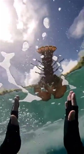 Hooked a Living Legend: The 4-Hour Struggle with a Titan #trends #fishing #automobile