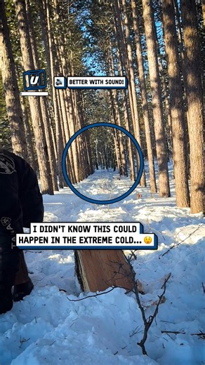 The cold made it explode out of nowhere 💥🤯 #trees #cold #nature | UNILAD Tech