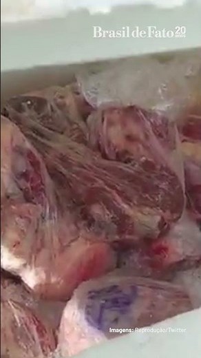 Ibama inicia operação em território Yanomami e destrói equipamentos usados no garimpo