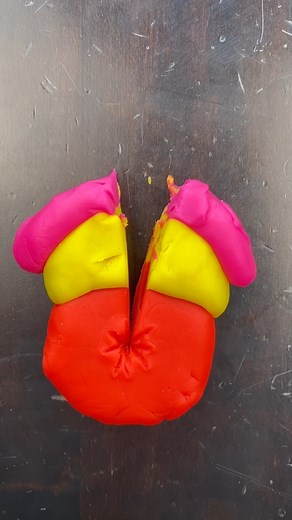 ⚠️TW: PERINEAL TEARS⚠️ What happened during your birth? Did you have a perineal tear? First degree and second degree tears are the most common in childbirth but there can be more severe perineal tears that happen AND you can tear upwards during birth too. I always say pelvic floor physio is a great idea for anyone with a severe tear but really - I think it’s good for anyone who is pregnant or who has birthed a baby! **for informational purposes only** #perinealtear #perinealmassage #birthtrauma 