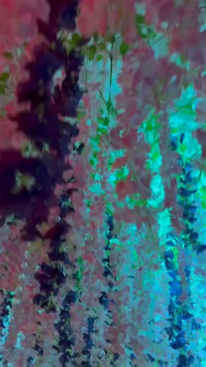 Still not over how COOL the Impressionists Immersive Exhibit at Discovery Center Museum is!! 😍😍 Kennedy and I got to check it out tonight and WOW. It was so peaceful and beautiful, like walking through a painting. The colors, the music, the way everything moves around you… it honestly it was super therapeutic. Highly recommend! Thanks so much to Discovery Center for having us ❤️ 🎨 | B103