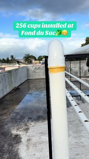 Hydroponics System Installation in Fond Du Sac, Mauritius
