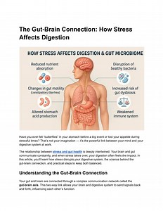 The Gut-Brain Connection: How Stress Affects Digestion - SlideServe