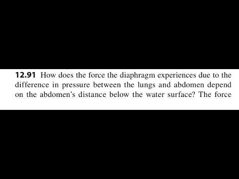 How does the force the diaphragm experiences due to the difference in pressure between the lungs